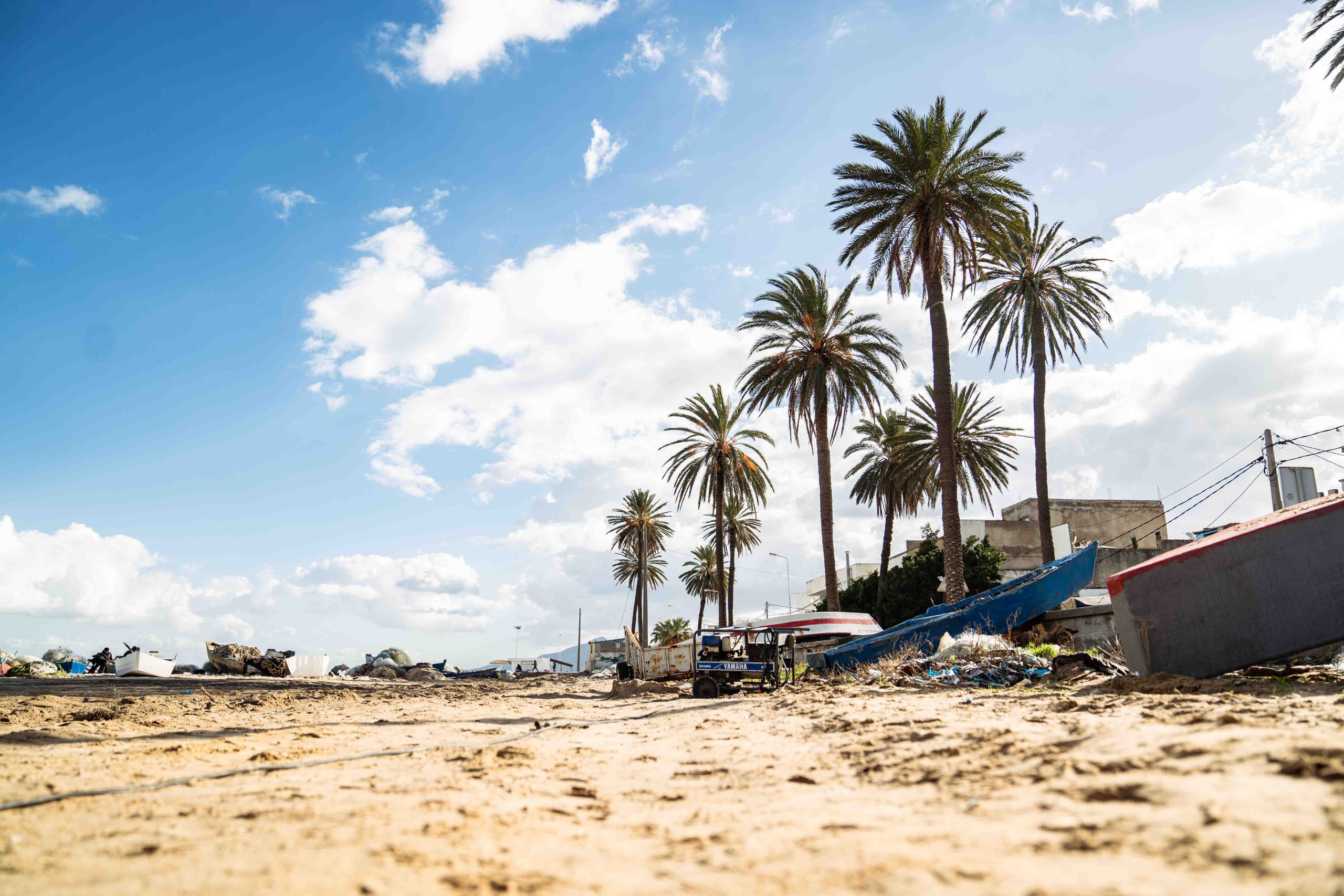 Plage de sable avec palmiers et barques de pêche en Tunisie